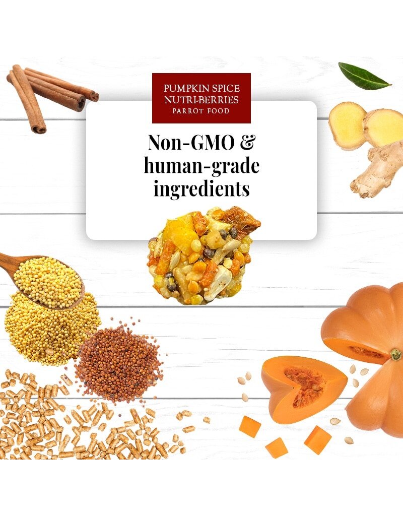 Lafeber Lafeber Company Pumpkin Spice Nutri-Berries for Parrots 10 Oz