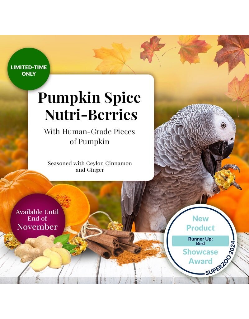 Lafeber Lafeber Company Pumpkin Spice Nutri-Berries for Parrots 10 Oz