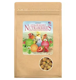 Lafeber Lafeber Company Strawberry Nutri-Berries for Small Birds 10 Oz