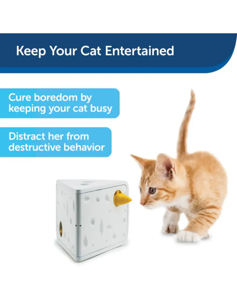 Petsafe Petsafe Automatic Cheese Cat Toy