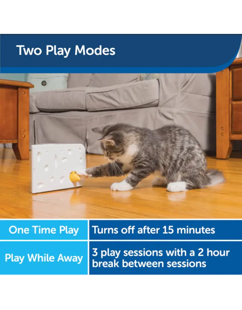 Petsafe Petsafe Automatic Cheese Cat Toy