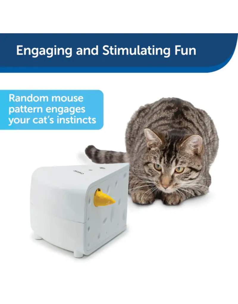 Petsafe Petsafe Automatic Cheese Cat Toy