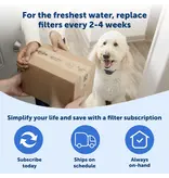 Petsafe Petsafe Ion-X Filter White 4 Pack