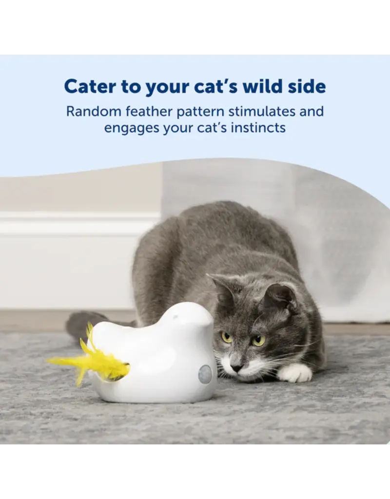 Petsafe Petsafe Peek-A-Bird Electronic Cat Toy