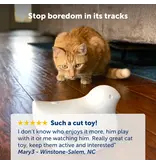 Petsafe Petsafe Peek-A-Bird Electronic Cat Toy