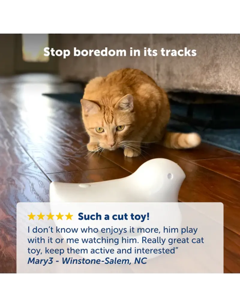 Petsafe Petsafe Peek-A-Bird Electronic Cat Toy