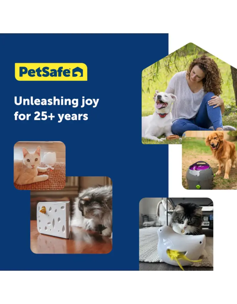 Petsafe Petsafe Peek-A-Bird Electronic Cat Toy