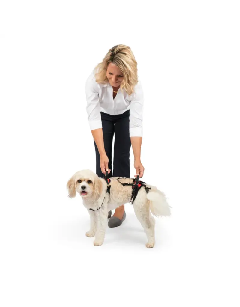 Solvit PetSafe/Solvit CareLift Full Body Lifting Harness Medium