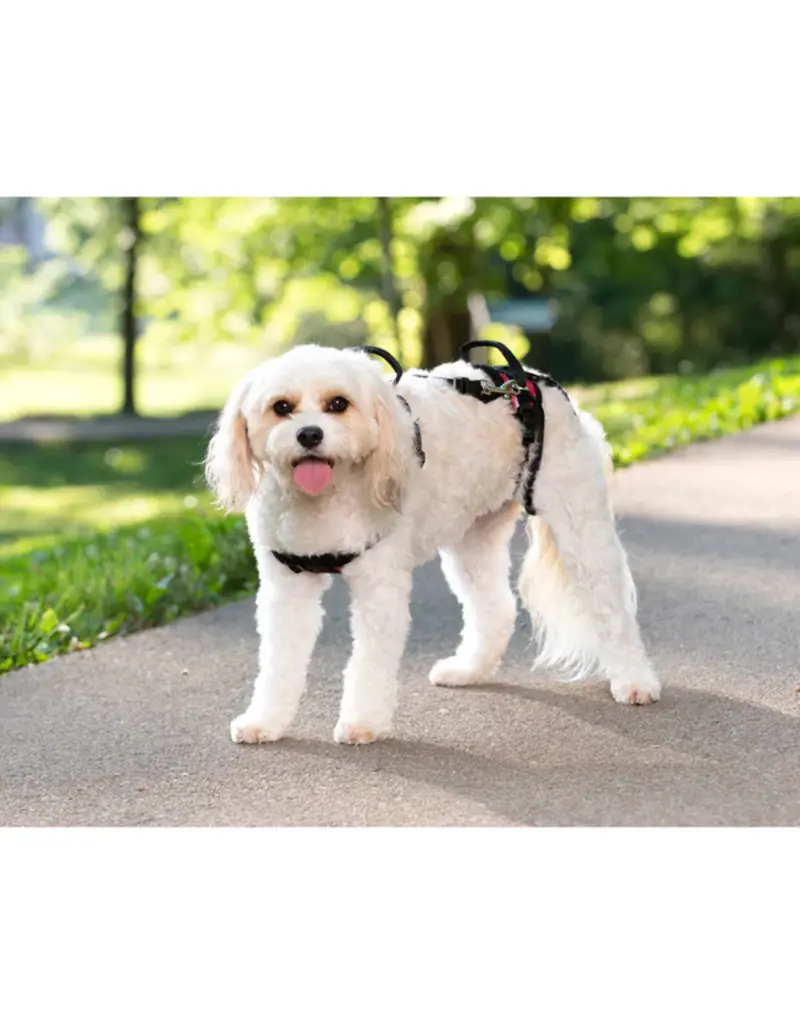 Solvit PetSafe/Solvit CareLift Full Body Lifting Harness Medium