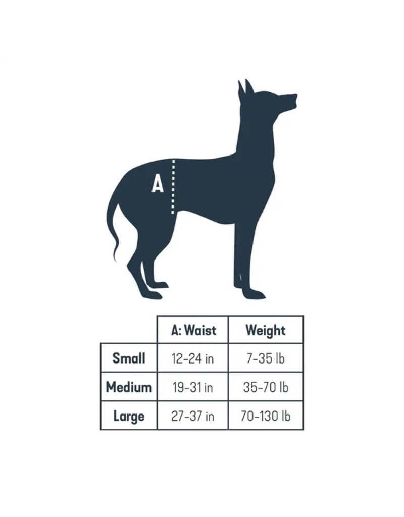 Petsafe Petsafe Carelift Rear Lift Harness