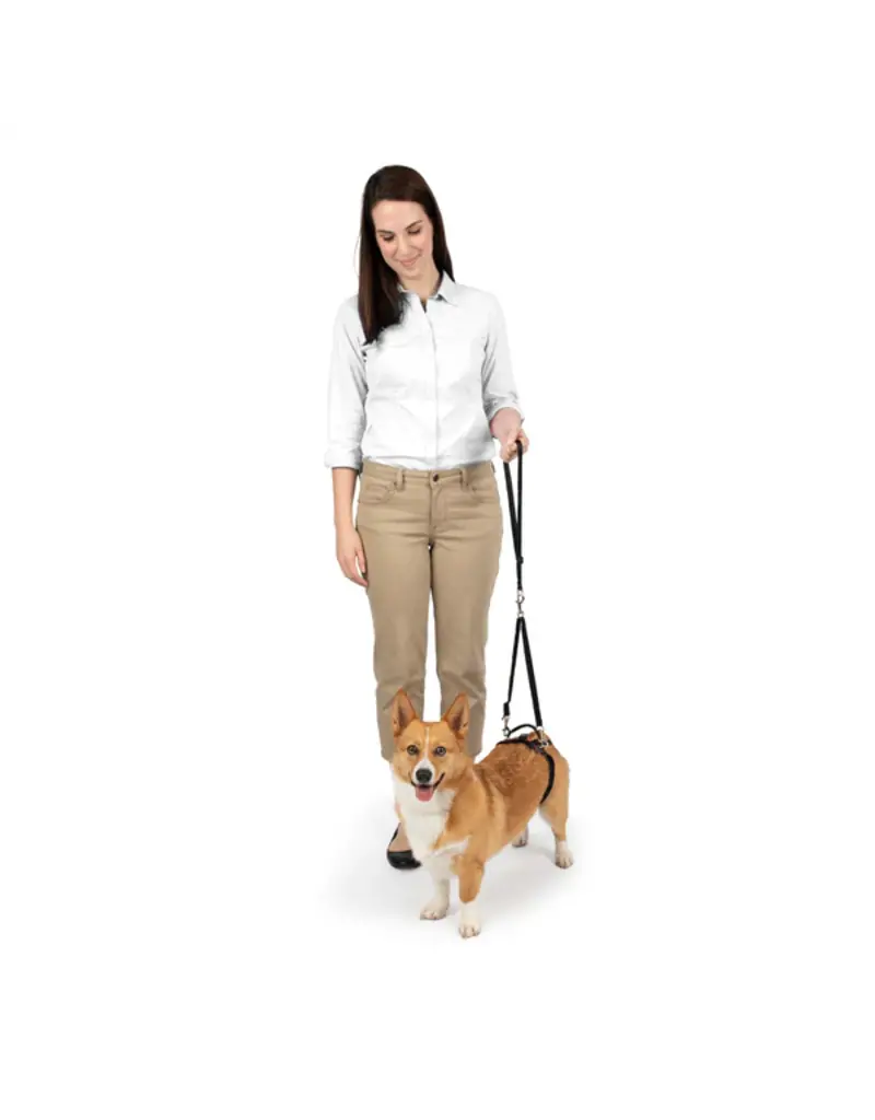 Petsafe Petsafe Carelift Rear Lift Harness