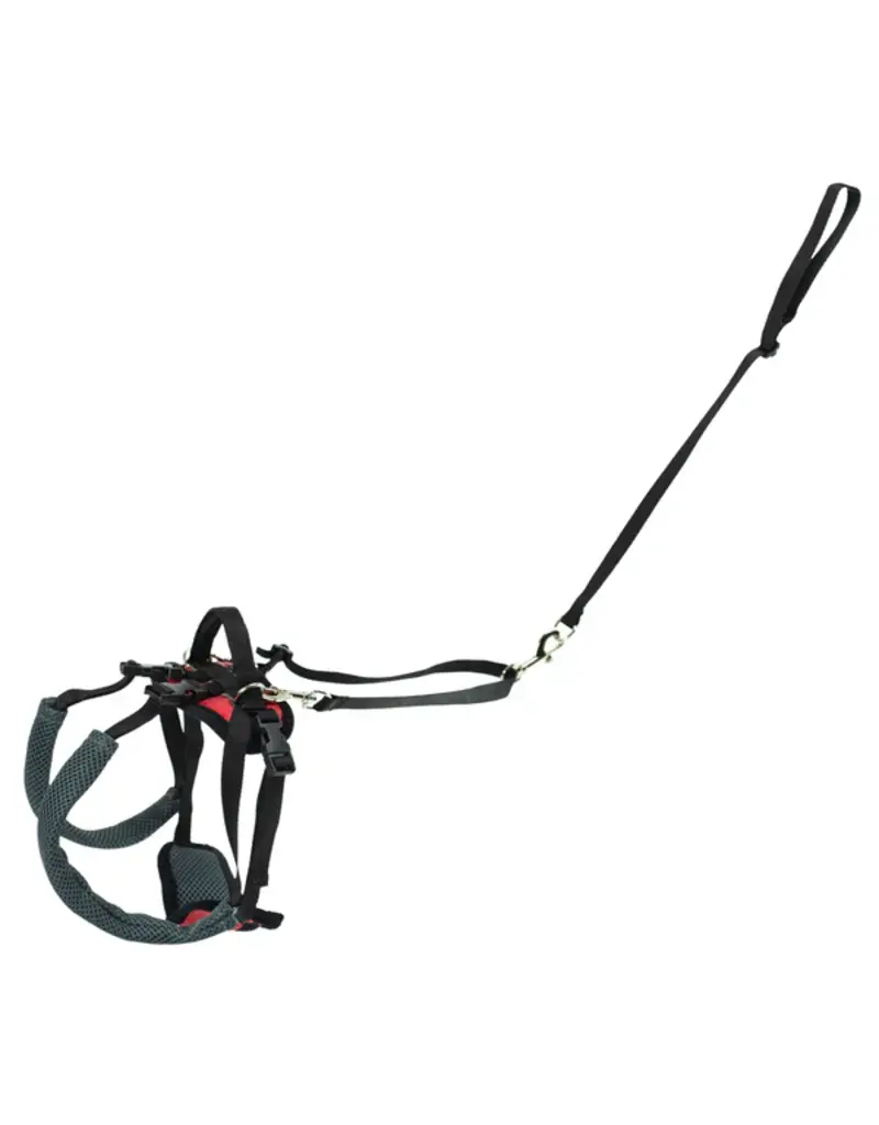 Petsafe Petsafe Carelift Rear Lift Harness