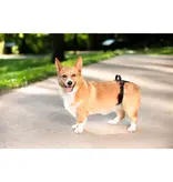 Petsafe Petsafe Carelift Rear Lift Harness