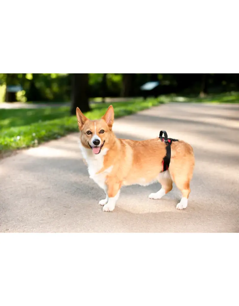 Petsafe Petsafe Carelift Rear Lift Harness