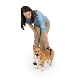 Petsafe Petsafe Carelift Rear Lift Harness