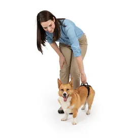 Petsafe Petsafe Carelift Rear Lift Harness