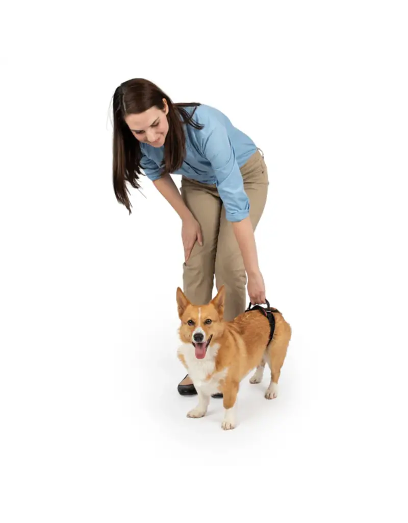 Petsafe Petsafe Carelift Rear Lift Harness