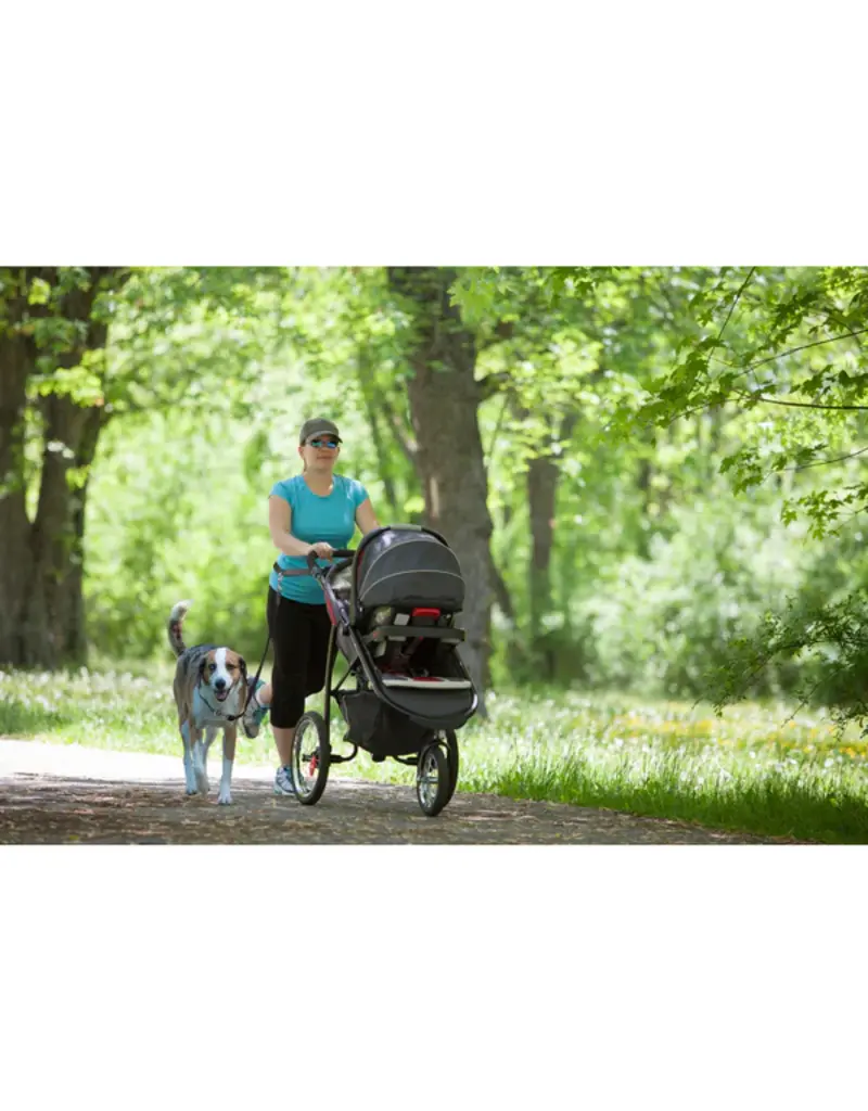 Petsafe Petsafe Hands Free Leash 31-53In black