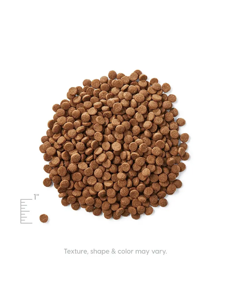 Solid Gold Solid Gold Indigo Moon with Chicken & Egg Dry Cat Food