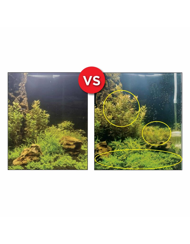 Fluval Fluval Bio-CO2 Pro Low-Pressure System