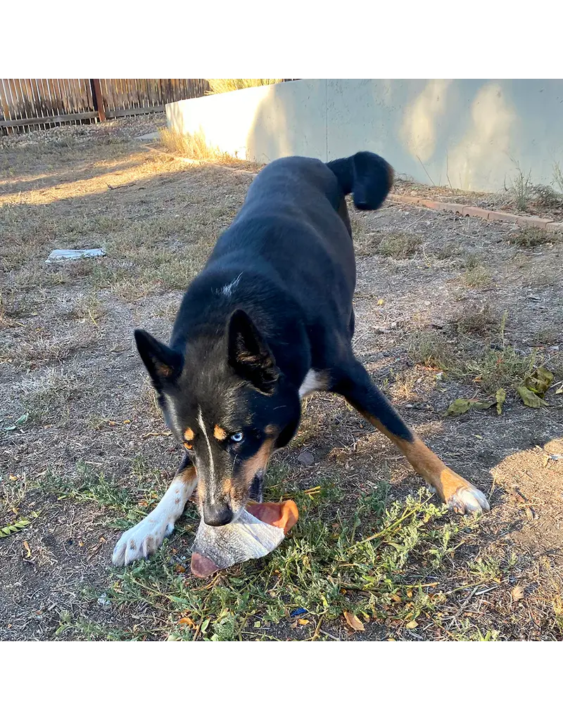 Icelandic Icelandic Pig Ear with Fish Skin Wrap