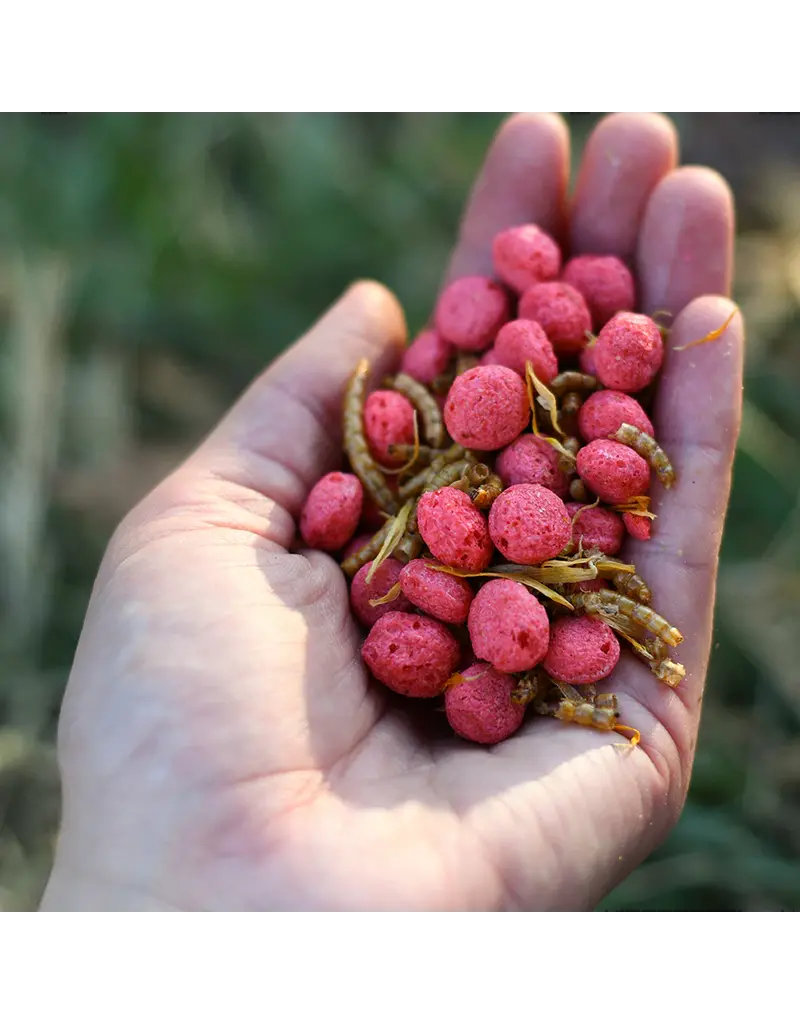 Happy Hen Happy Hen Free Range Feast Chicken Treat