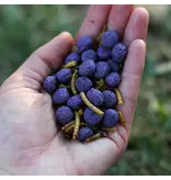 Happy Hen Happy Hen Free Range Feast Chicken Treat