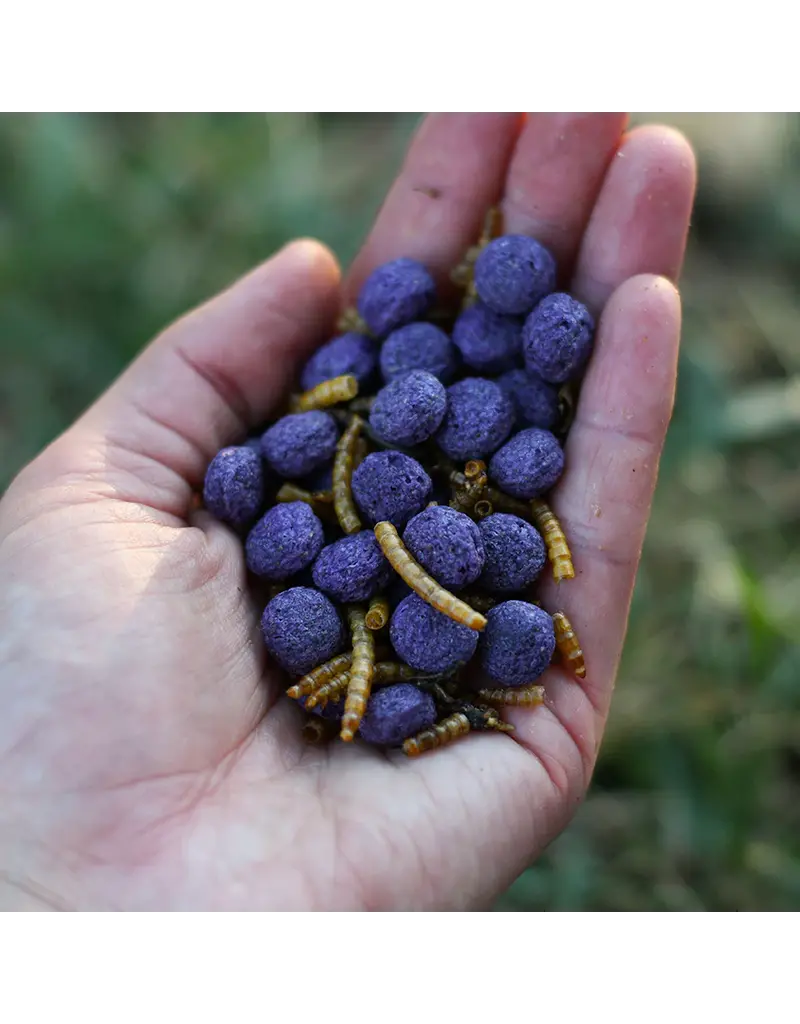 Happy Hen Happy Hen Free Range Feast Chicken Treat