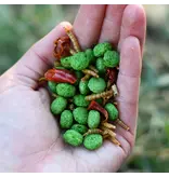 Happy Hen Happy Hen Free Range Feast Chicken Treat