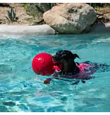 Jolly Pets Jolly Pets Tug N Toss Ball Red