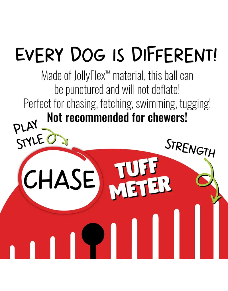 Jolly Pets Jolly Pets Tug N Toss Ball Purple