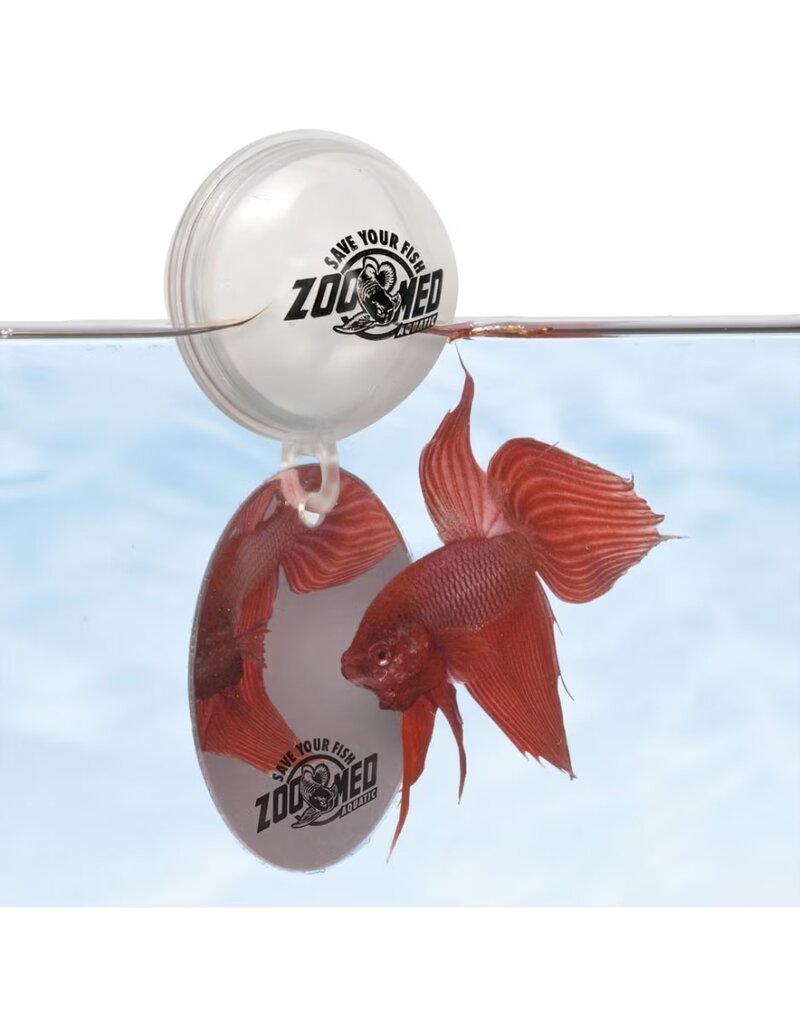 Zoo Med Zoo Med Betta Exercise Mirror 2Oz