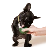 Woof Woof! Pupsicle Treat Tray