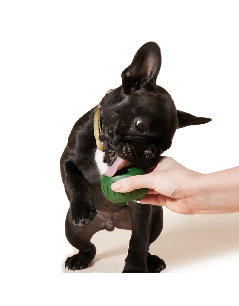 Woof Woof! Pupsicle Treat Tray