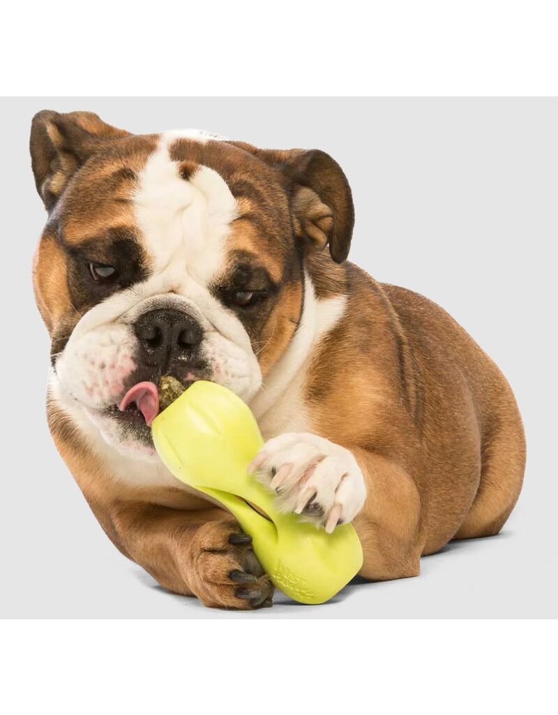 West Paws Qwizi Dog Toy