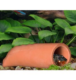 Cobalt Aquatics Cobalt Round Cave Lg 2.75