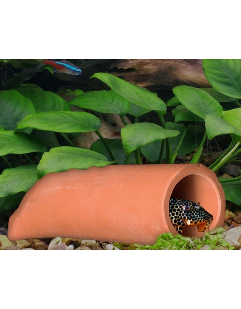 Cobalt Aquatics Cobalt Round Cave Lg 2.75