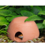 Cobalt Aquatics Cobalt Apisto Hut Spawning Cave Sm