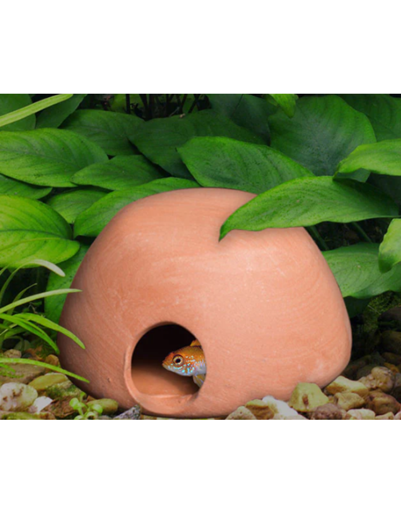 Cobalt Aquatics Cobalt Apisto Hut Spawning Cave Sm