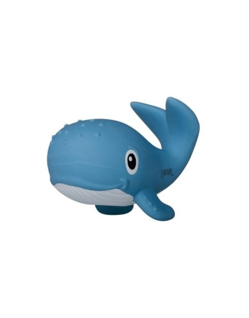 Territory Territory Dog Toy Squeaker Whale 6.5 In