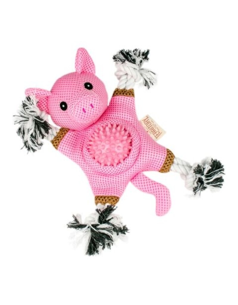 Territory Territory Dog Toy 2 in 1 Pig 10 In