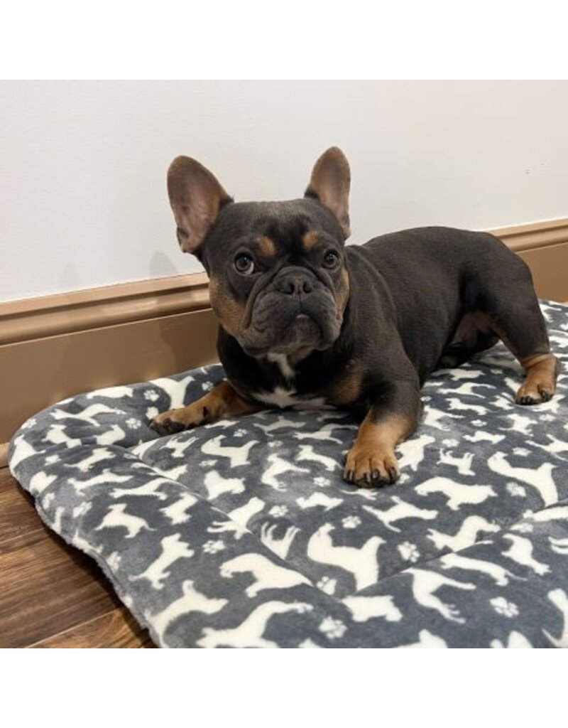 Territory Territory Classic Crate Mats