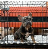 Territory Territory Classic Crate Mats