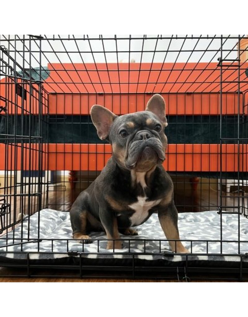 Territory Territory Classic Crate Mats