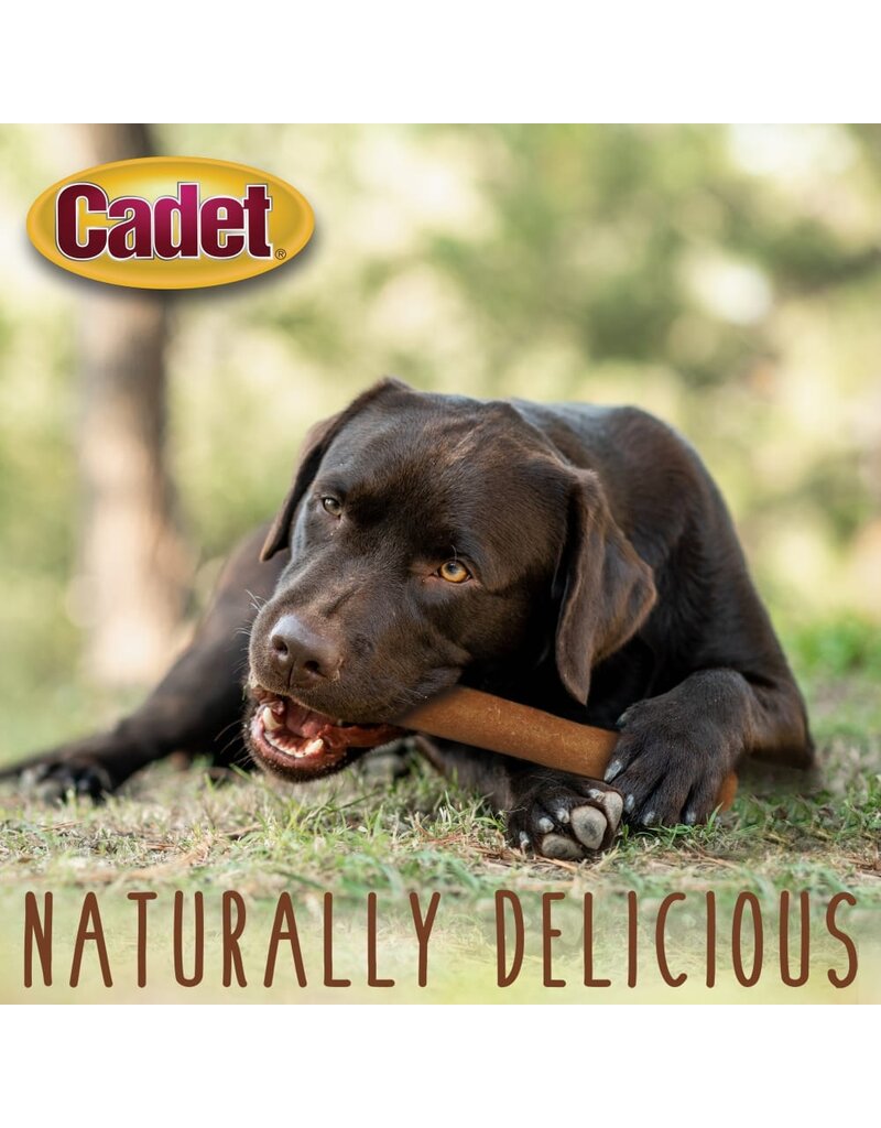 IMS Cadet Chewalicious Roll Dog Treats Chicken 2 Pk