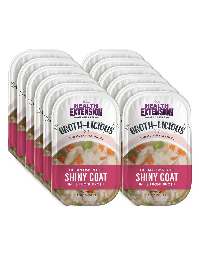 Health Extension HE Broth-licious Bone Broth Ocean Fish 3.5 Oz