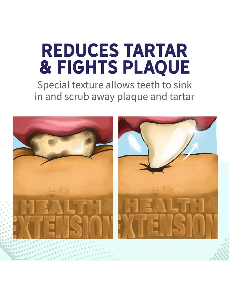 Health Extension Health Extensions Peanut Butter Dental Bones Small 14 Pk