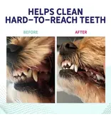 Health Extension Health Extensions Fresh Breath Dental Bones Small 14 Pk