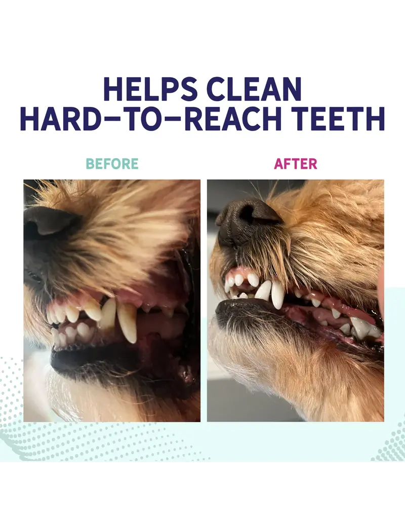 Health Extension Health Extensions Fresh Breath Dental Bones Small 14 Pk