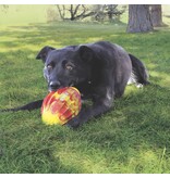 Kong Company Kong Flexball Sport Football Dog Toy